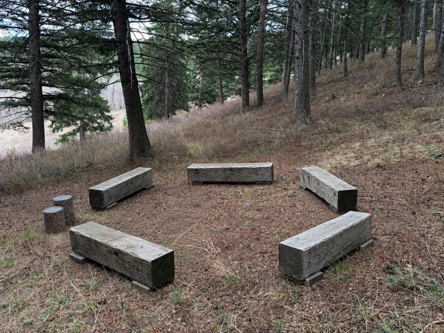 Gathering space in the middle of the forest