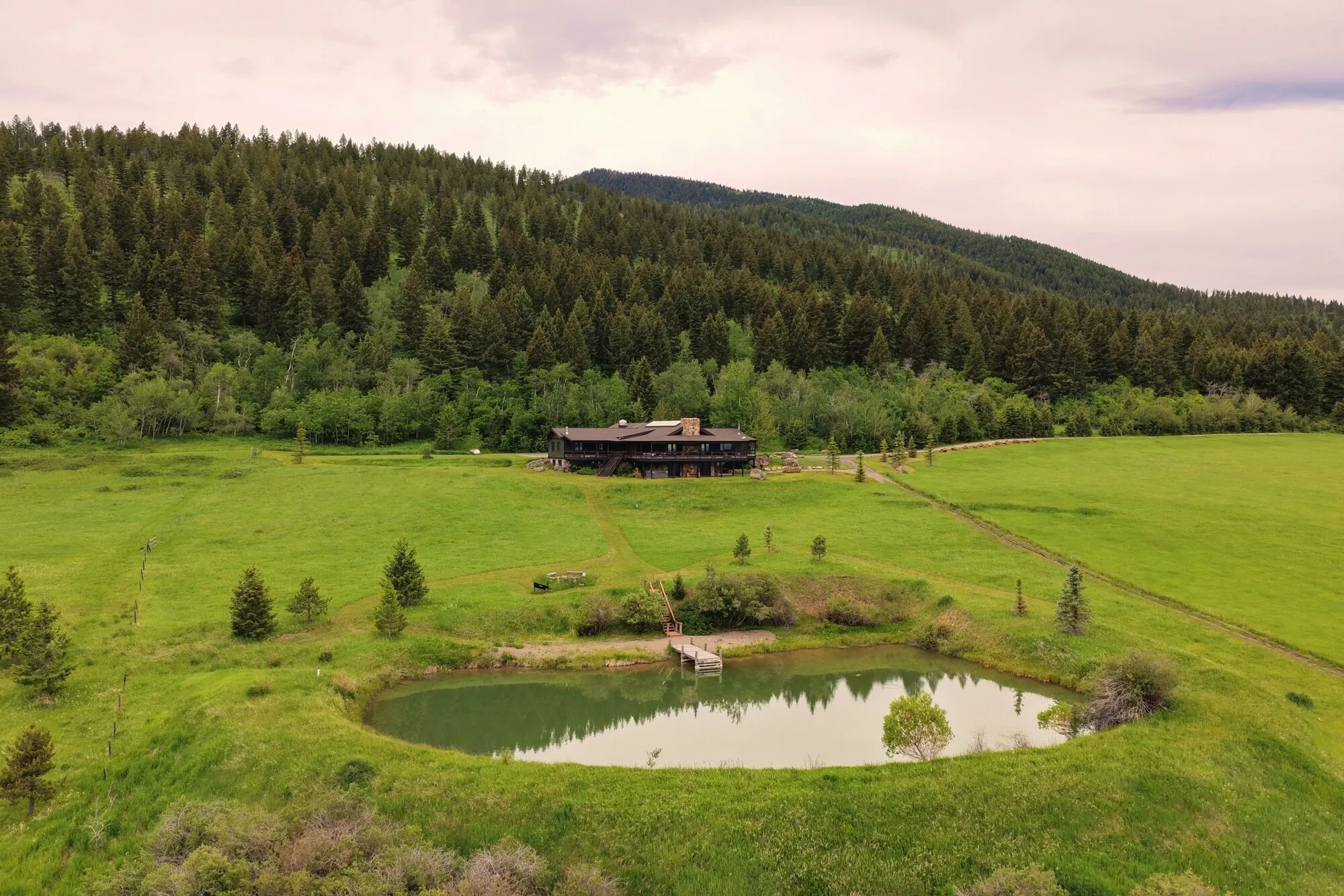 Meadow and pond below Mount Ellis
