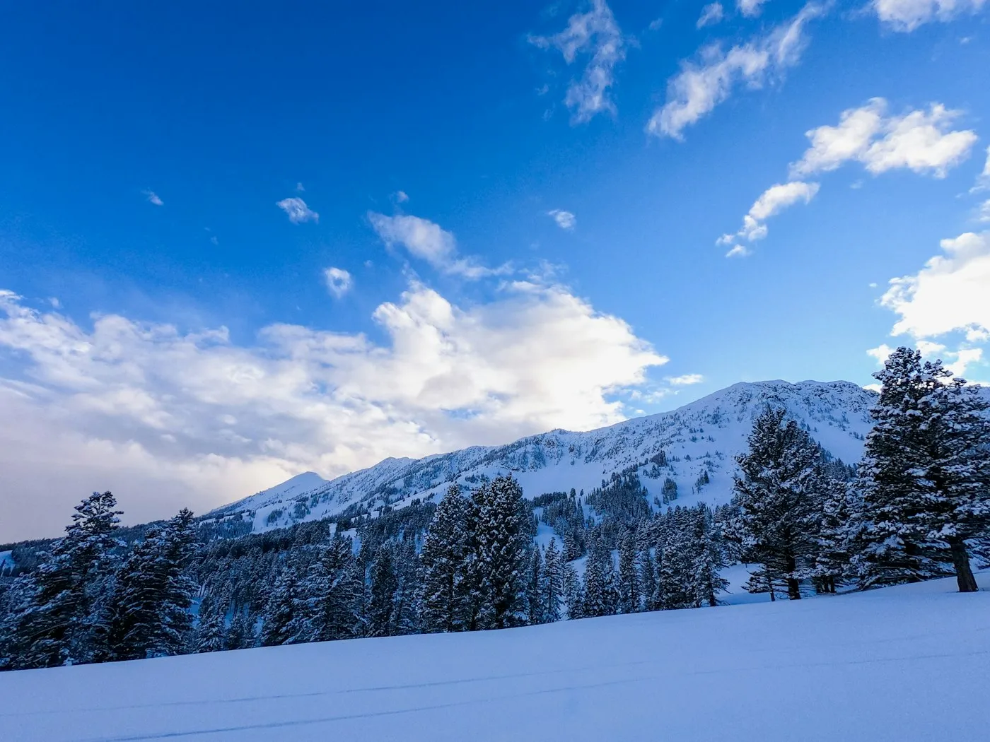 Snowy ridgeline at Bridger Bowl ski area