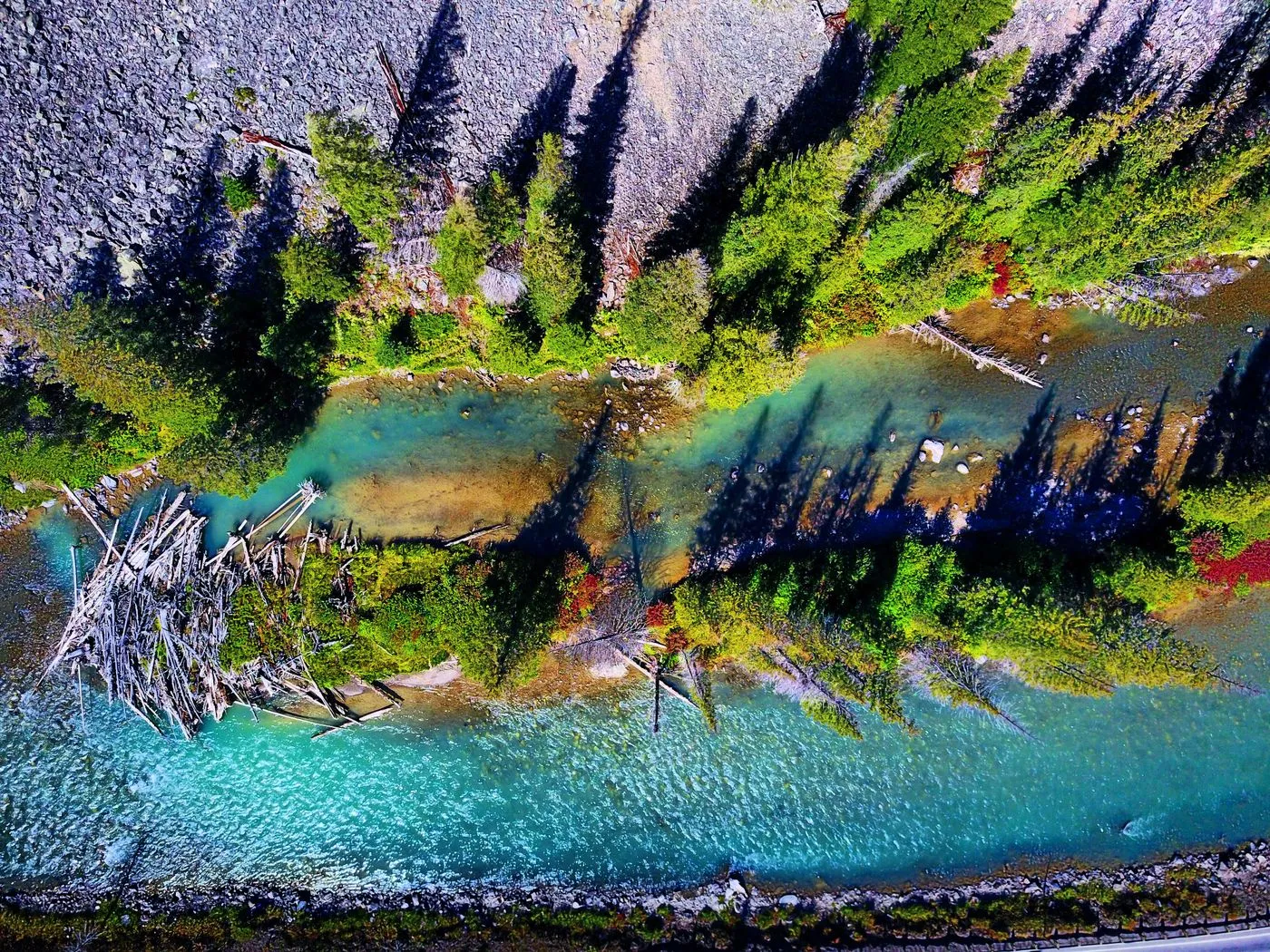 The Gallatin River winding through pine forest