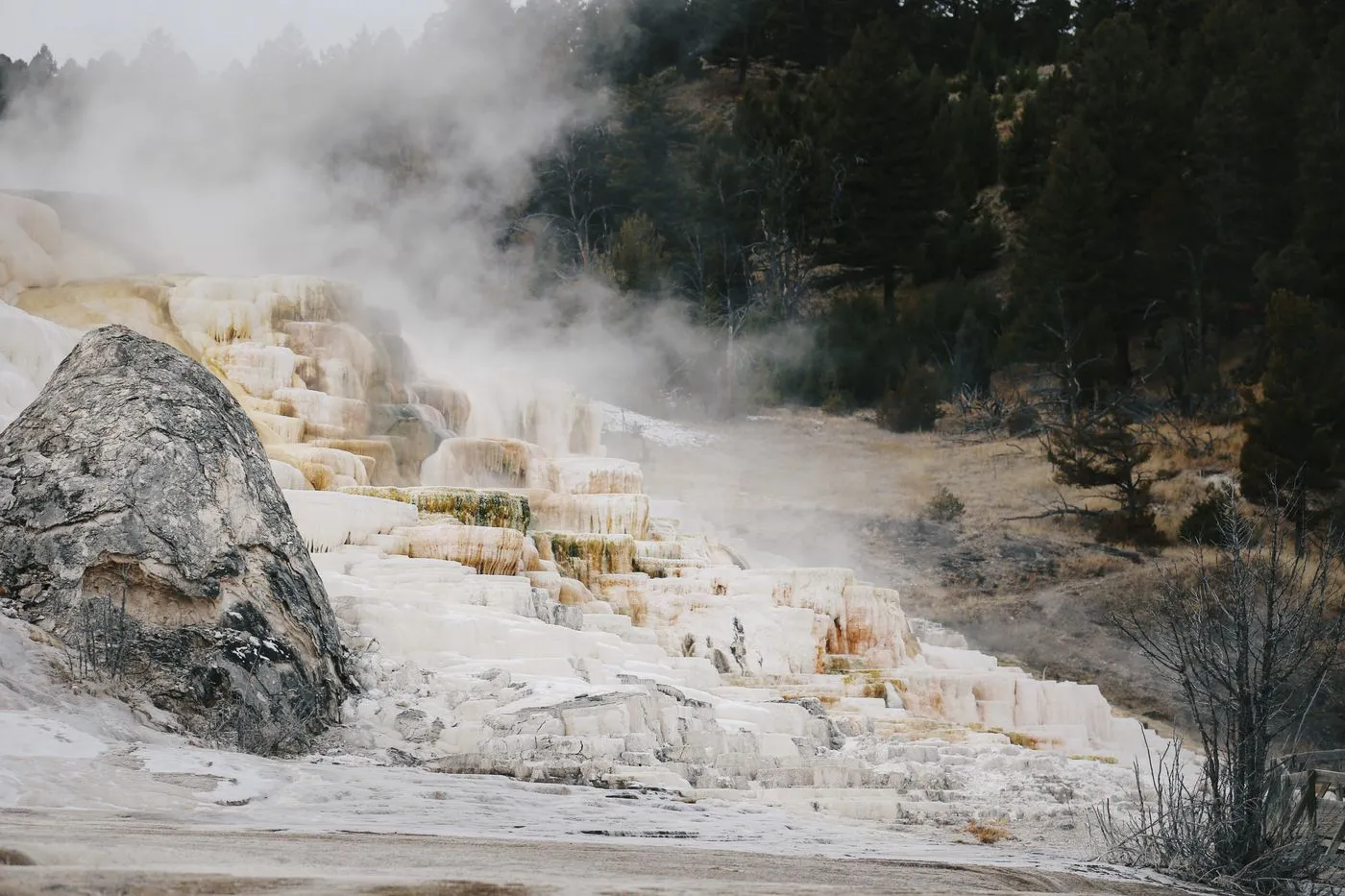 Mammoth Hot Springs terraces in Yellowstone